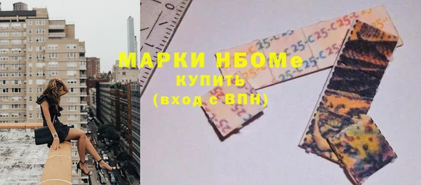 прущие грибы Магадан