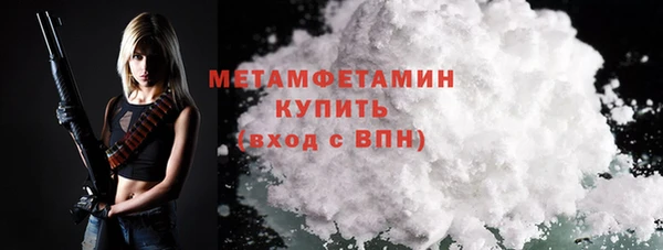 прущие грибы Магадан