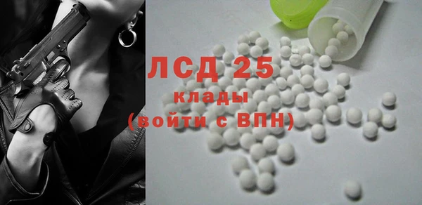 прущие грибы Магадан