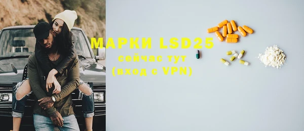 прущие грибы Магадан