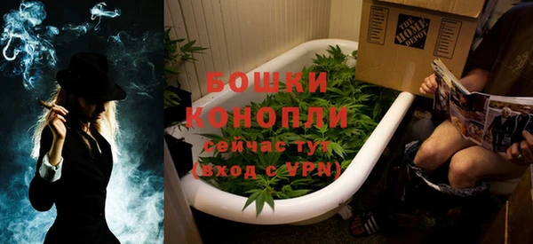 прущие грибы Магадан