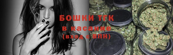 прущие грибы Магадан