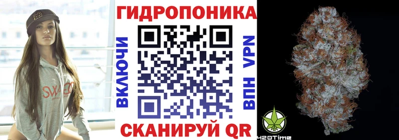 дарк нет как зайти  Спасск  Бошки марихуана Amnesia 